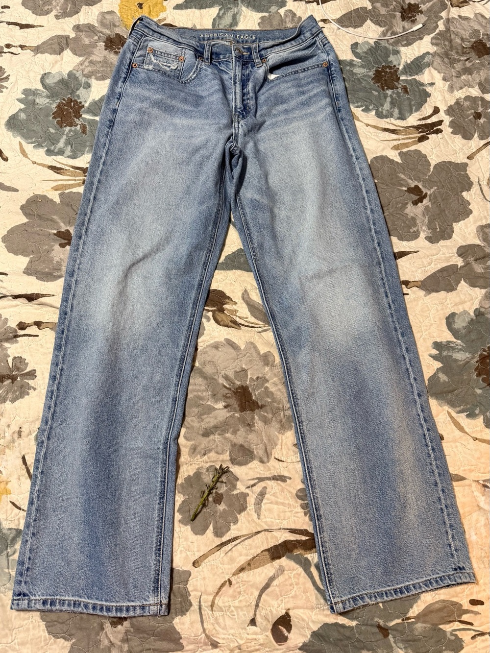American Eagle Outfitters Light Wash Baggy Dad Jeans
